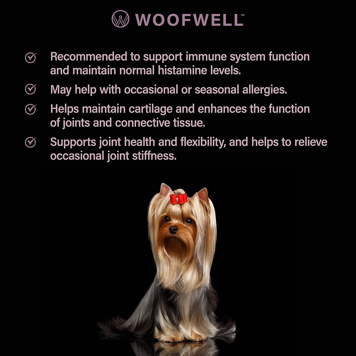Yorkie hotsell joint supplements