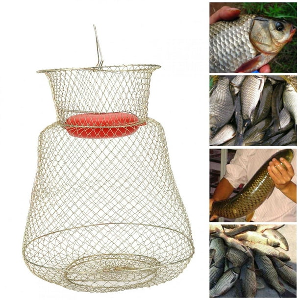 Panier de Pêche, Cage de Filet de Pêche, Cage de Pêche Portable, Pêche en  Mer pour le Ruisseau de la Piscine de Pêche Sauvage Diamètre 33cm(S)