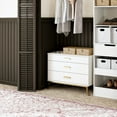 thumbnail image 2 of Ameriwood Home Clementine Small 3-Drawer Dresser with Oval Handles, White & Gold, 2 of 12