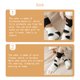 thumbnail image 3 of Minnieouse Calcetines de animales, calcetería de lana de Coral, tubo medio, colorido estilo japonés, ropa de mujer gruesa, ropa de casa de moda Medias Punto blanco + negro Minnieouse AP009904-05, 3 of 6