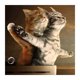 thumbnail image 1 of Cuadros Decorativos Gatos íntimos 5D diamante pintura bordado DIY punto de cruz decoración del hogar DQrwqpou Nuevos Originales, 1 of 5