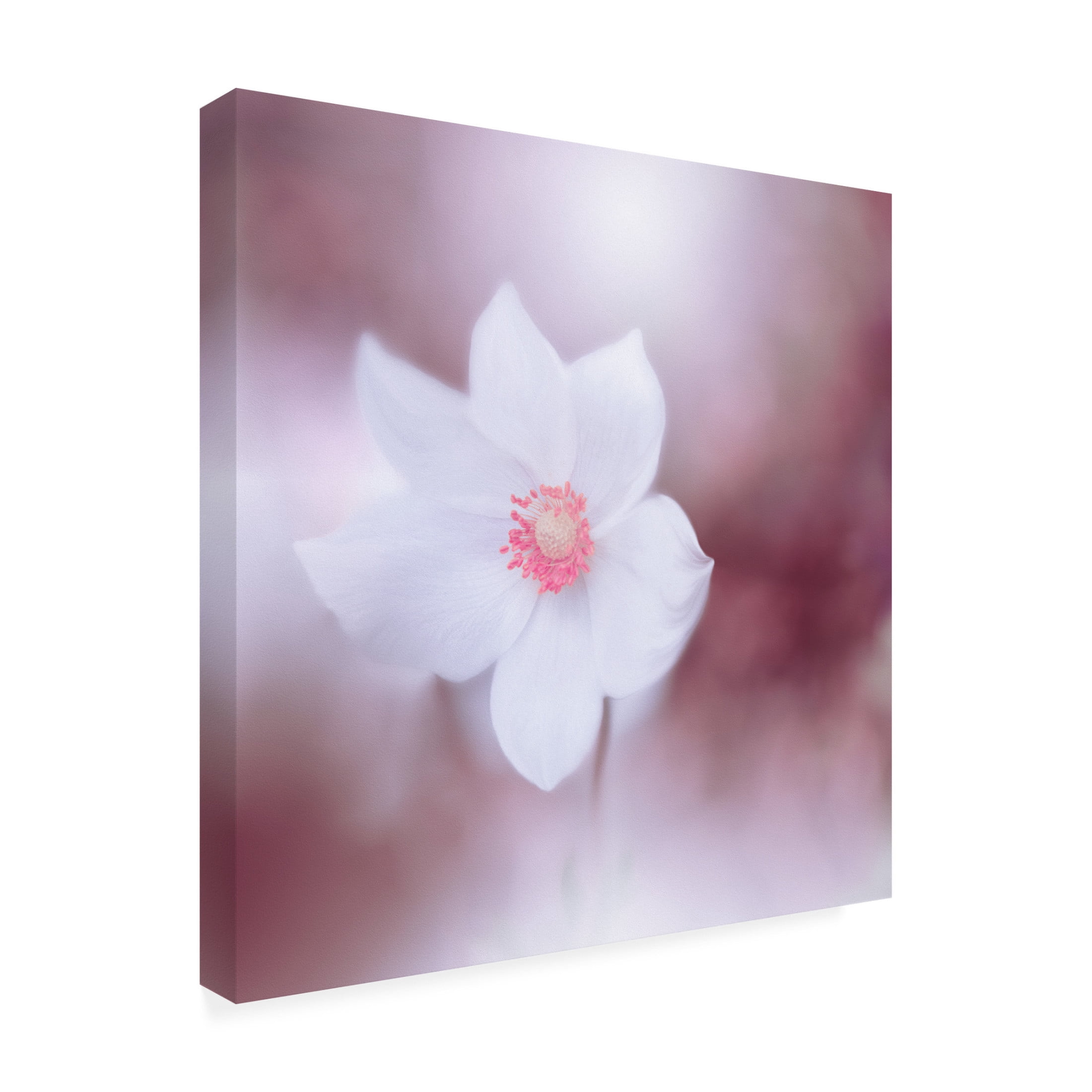 Trademark Fine Art Juliana Nan Eyes Wide Open.. Canvas Wall Art