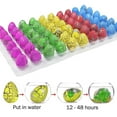 thumbnail image 5 of 60PCS Hatching Dinosaur Eggs for Kids, Novelty Grow in Water Dino Eggs with Toys Inside, Christmas Party Favors, Goodie Bag Stuffers, Treasure Box Prize for Classroom, Pinata Fillers, 5 of 7