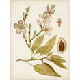 thumbnail image 3 of Vision Studio 19x24 Black Modern Framed Museum Art Print Titled - Vintage Charm IV, 3 of 5