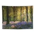 thumbnail image 5 of Shiartex  Forest Sunshine Tapestry Spring Morning Sunlight Through Green Trees Tapestry Nature Landscape Aesthetic Tapestry Wall Hanging Art for Bedroom Living Dorm Decor 40x30inch, 5 of 6