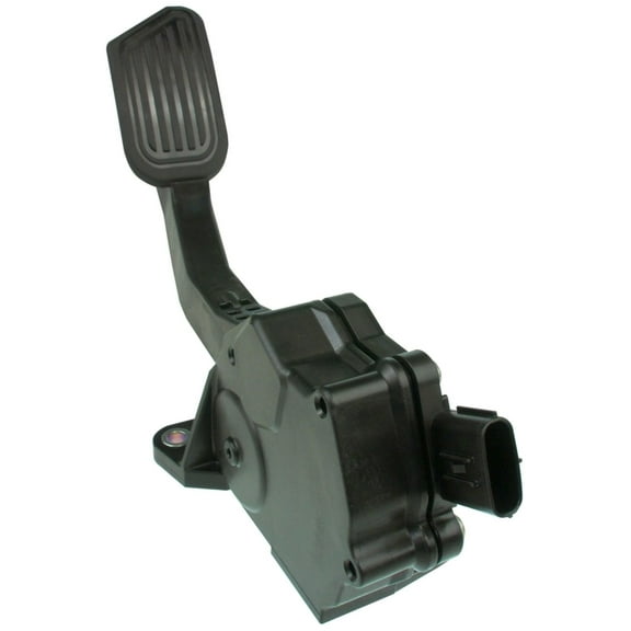 Accelerator Pedal Sensor