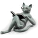thumbnail image 1 of Figura de resina gato tumbado leyendo 18x5x8 cm, 1 of 5