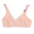 thumbnail image 1 of Brasier Secret Treasure Talla 34B Piel, 1 of 4