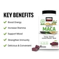 thumbnail image 2 of Suplemento Force Factor Perfect Maca con azafrán 60 comprimidos masticables, 2 of 9