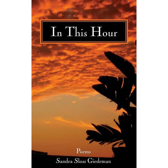In This Hour (Paperback)