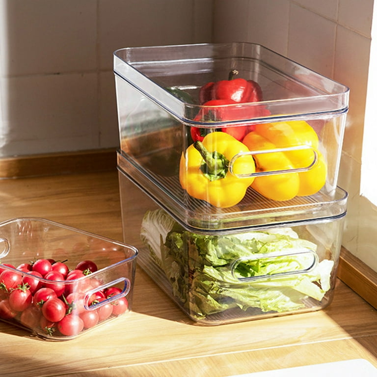 Cheers US Flat Plastic Box for Kitchen for Kitchen&Refrigerator  Organization, Transparent Food Storage Container for Kitchen, Fridge,  Freezer 