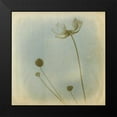 thumbnail image 2 of Jorgensen, Jennifer 20x20 Black Modern Framed Museum Art Print Titled - Faded Away I, 2 of 5