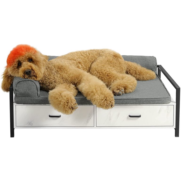 Raised Dog Sofa Uk Baci Living Room