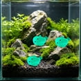 thumbnail image 5 of Tuvgenk Luminous Mini Seal Aquarium Statue, Glow Fish Tank Ornament Night Light, Cute Seal Figurine for Betta Shrimp Tank, Underwater Glow Decor, 5 of 6