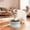 Blue, variant on PureCasa Cat Food Bowl Large Capacity Food Drinking Bowl Whisker Friendly Anti Vomiting Cats Dishes Pet Food and Water Bowls for Indoor Cats Kittens