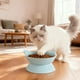 thumbnail image 1 of Comedero y bebedero elevado de gran capacidad para gatos | Plato de plástico para mascotas de 250 ml con diseño ancho y poco profundo | Soporte para el cuello para una mejor digestión y alivio del, 1 of 6