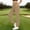 Leggings-45Khaki, variant on Leggings for Women with Pockets Straight Leg Ankle Length Office Yoga Pants Stretchy High Waisted Pull on Workout Leggings Business Travel Casual Bottoms