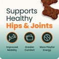thumbnail image 3 of VetriScience Extra Strength Hip & Joint Chews for Dogs, Chicken, 120 Count, 3 of 10