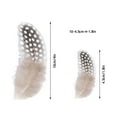 thumbnail image 4 of Collection de Plumes de Volaille Élégante avec 50 Plumes Superbes pour Artisanat Maison, 4 of 8