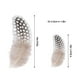 thumbnail image 4 of Elegante colección de plumas de aves con 50 impresionantes plumas para manualidades en el hogar, 4 of 8