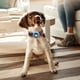 thumbnail image 1 of Collar De Perro Inteligente, Collar De Entrenamiento Antiladridos, Suministros Para Perros Para Perros, Mascotas, Suministros Para Mascotas ANGGREK Otros, 1 of 8