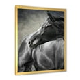 thumbnail image 2 of Designart 'Close Up Of A Black Horse' Farmhouse Framed Art Print, 2 of 4