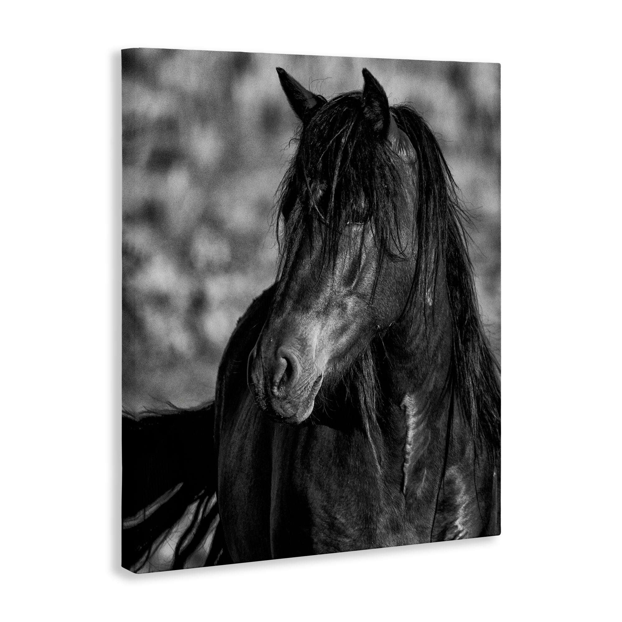 Stupell Industries Beauty In Black Canvas Wall Art, design by Tim West
