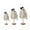 D, variant on QLUEWX 3PCS Halloween Ghost Table Decorations, Wooden Ghosts Table Decor with Bows, Rustic Base Halloween Table Centerpieces Home Decor, Halloween Decorations Indoor for Home Office Table Party