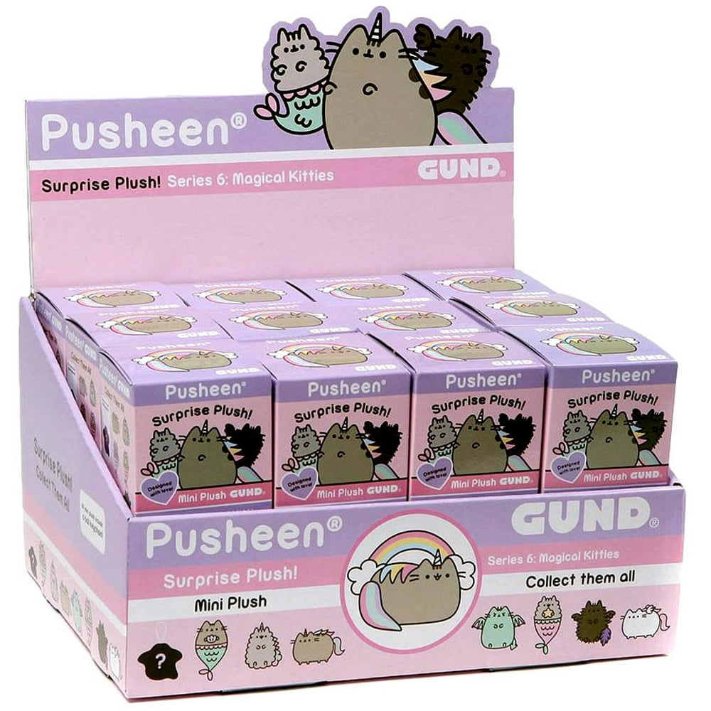 mystery box pusheen