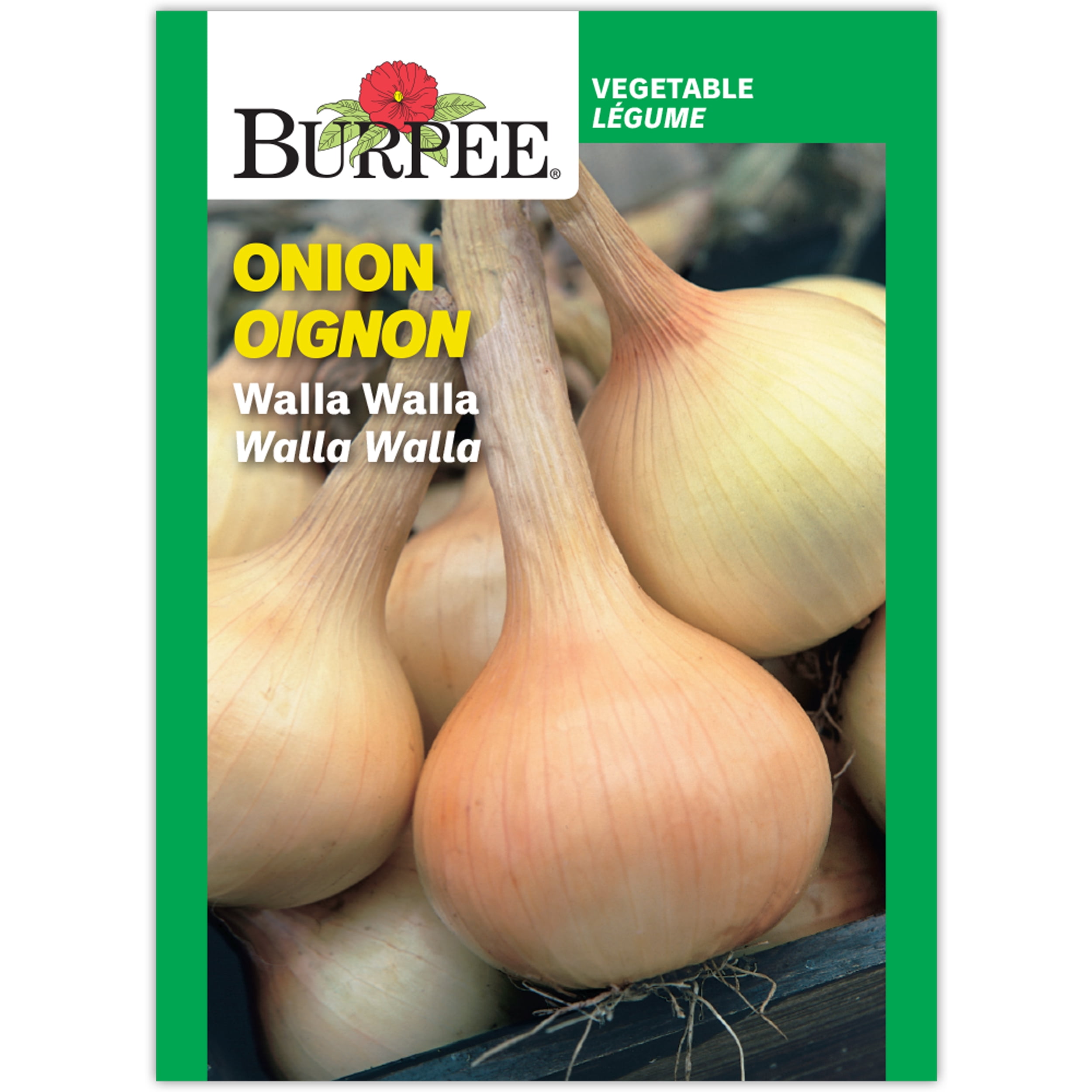 Burpee Walla Walla Oignon