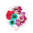 thumbnail image 1 of 3D Beautiful Flower Mixed Dried Flowers DIY Bottle Manicure Tips Clear on Nails, 1 of 1