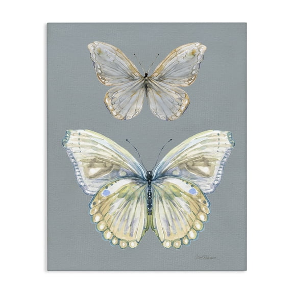 Stupell Industries Traditional Butterfly Pair Study Canvas Art, 16 x 20, by Carol Robinson