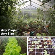 Sustainable Seed Company 250 Polish Amaranth Plant Seeds, Organic Heirloom