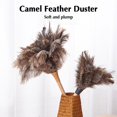thumbnail image 2 of Ostrich Feather Duster,Fluffy Natural Feather Duster with Wood Handle Reusable Washable,Car Duster Interior Cleaner,Soft Duster for Keyboard Office, 2 of 8