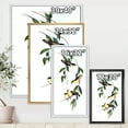 thumbnail image 4 of Ancient Bird III 30 in x 40 in Framed Painting Canvas Art Print, by Designart, 4 of 5