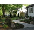 thumbnail image 2 of Algreen Decorative Rock Cover Landscape Rock, 2 of 2