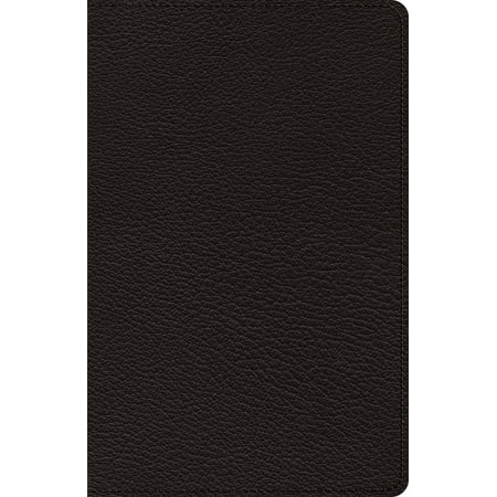Heirloom Bible - Heirloom Thinline Bible-ESV-Art Gilded