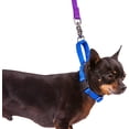 thumbnail image 6 of GoGo 15116 Small 0.63 X 14-17 In. Blue Martingale Collar, 6 of 9