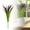 D, variant on Flowers Tall Tropical Bright Leaves Decorative Indoor Outdoor Courtyard Porch Garden Beautification for All Seasons