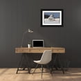 thumbnail image 3 of Costina, Mircea 14x11 Black Ornate Wood Framed with Double Matting Museum Art Print Titled - Bubo scandiacus, 3 of 4