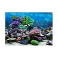 thumbnail image 3 of Acuario vívido Fondo Telón de fondo Cartel Mar Baloncesto Parque infantil Coral M Zulema Vinilo decorativo pecera, 3 of 8