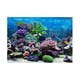 thumbnail image 2 of Etiqueta Engomada Del Fondo Del Acuario, Fondo Subacuático de Las Imágenes Decorativas Del Pecera Del Papel Pintado Adhesivo 3D Coral XL, 2 of 8