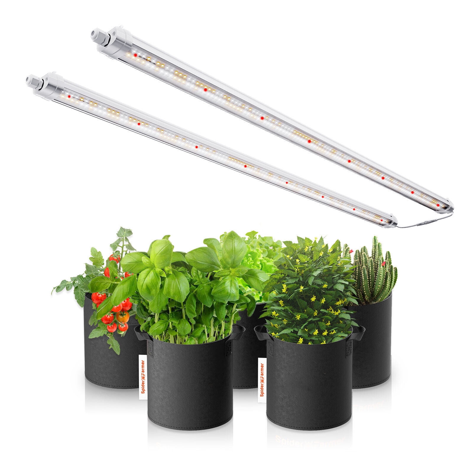 Spider Farmer SF600 LED Grow Light Full Spectrum Indoor Plants Veg