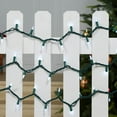 thumbnail image 2 of Holiday Time 50-Count Cool White LED M5 Christmas Lights, with Green Wire, 10.4', 2 of 4