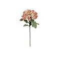thumbnail image 1 of Marshall Home Fleurs Roses en Mousse EVA avec Feuilles Vertes et Tige Brune, 35, 1 of 1