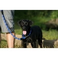 thumbnail image 2 of Terrain D.O.G. Rope Slip Lead: Durable, Adjustable, & Made in USA Black / 4-feet L x 1/2-inch wide, 2 of 2