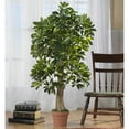 thumbnail image 3 of Nearly Natural 4' Schefflera Artificial Tree (Real Touch), 3 of 3