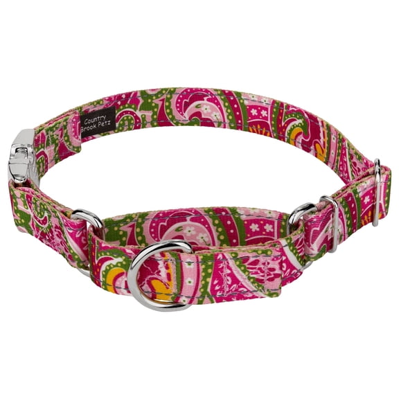 Country Brook Petz® Pink Paisley Reflective Martingale Dog Collar With Premium Buckle, Extra Large