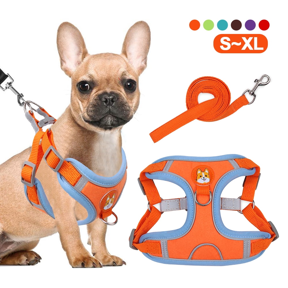 Premium and Adjustable Child Safety Harness Blue Light Reflective Strips ENSURES Visibility at Night 3 in 1 Safety Harness and Wrist Leash to Keep Child Safe 