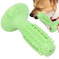 thumbnail image 4 of Bite Resistant Dog Toy, Puppy Toothbrush Interest Dog's Toy Natural Rubber Pet Rubber Toothbrush With Sounding Device For Teeth Training For  Care Green, 4 of 8